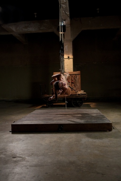 Mature woman with natural tits India Summer sucks cock while hanging in ropes
